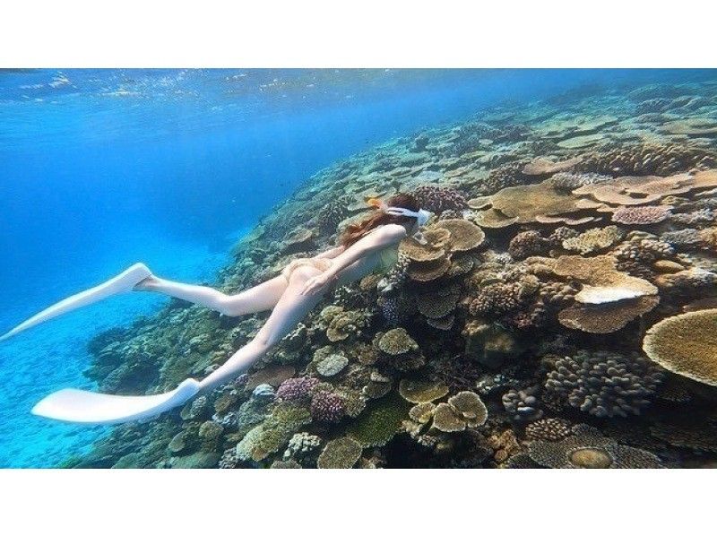 【水納島・瀬底島】ボートスキンダイビング2本　(8歳から参加OK) 写真・動画無料プレゼントの紹介画像