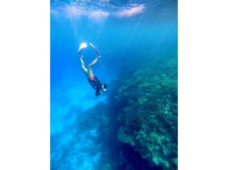 【水納島・瀬底島】ボートスキンダイビング2本　(8歳から参加OK) 写真・動画無料プレゼントの紹介画像