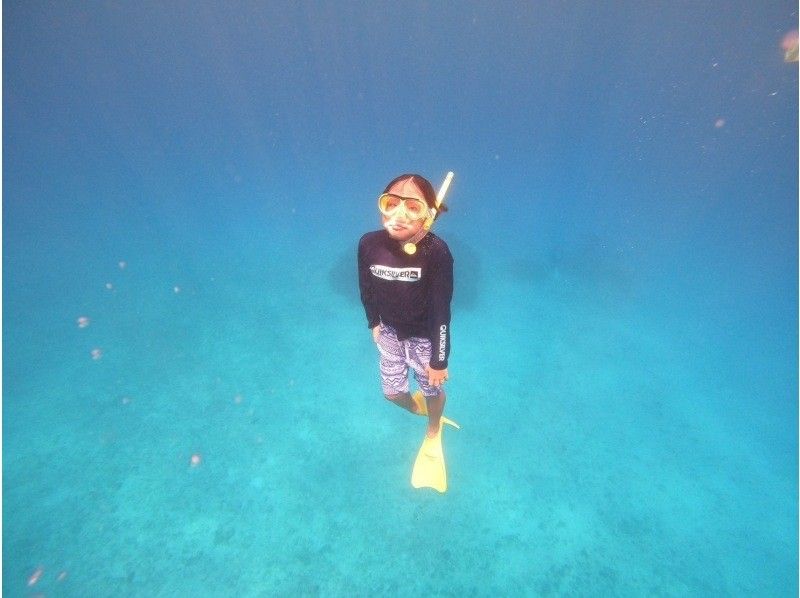 【水納島・瀬底島】ボートスキンダイビング2本　(8歳から参加OK) 写真・動画無料プレゼントの紹介画像