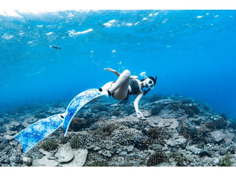 【水納島・瀬底島】ボートスキンダイビング2本　(8歳から参加OK) 写真・動画無料プレゼントの紹介画像