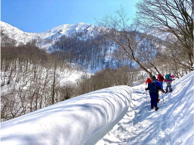 【東北最大級】万世大路　神秘的風景　氷筍トレッキングツアー　 ～アイストロールに会いにいこう～の紹介画像