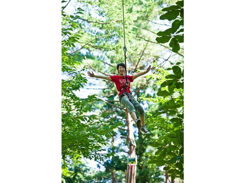 [Kanagawa/Odawara] Total of 13 zip lines! ~Zip trip course~ Adults and children alike! Forest close to the city center! 10 minutes by car from Odawara Station! Includes training!の紹介画像