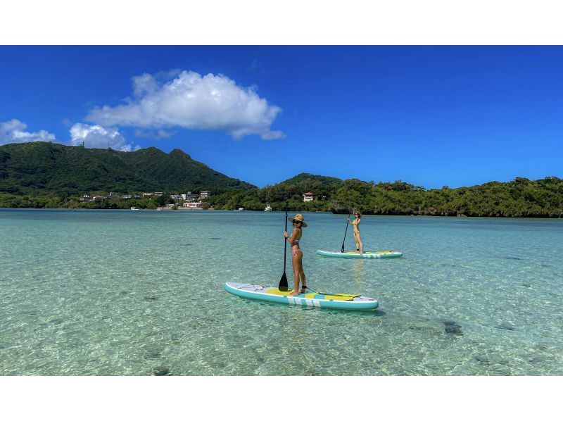 [Set tour] Kabira Bay SUP & Blue Cave Sea Turtle Snorkeling ☆ Sea turtle encounter rate is currently 100% 《Drone data present》 Spring sale now onの紹介画像