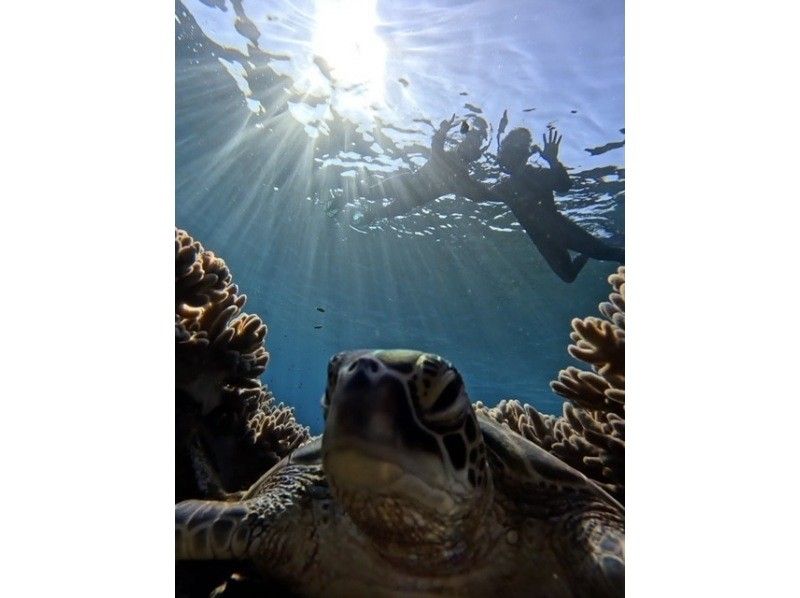 [Set tour] Kabira Bay SUP & Blue Cave Sea Turtle Snorkeling ☆ Sea turtle encounter rate is currently 100% 《Drone data present》 Spring sale now onの紹介画像