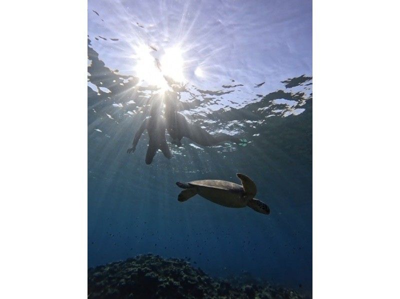 [Set tour] Kabira Bay SUP & Blue Cave Sea Turtle Snorkeling