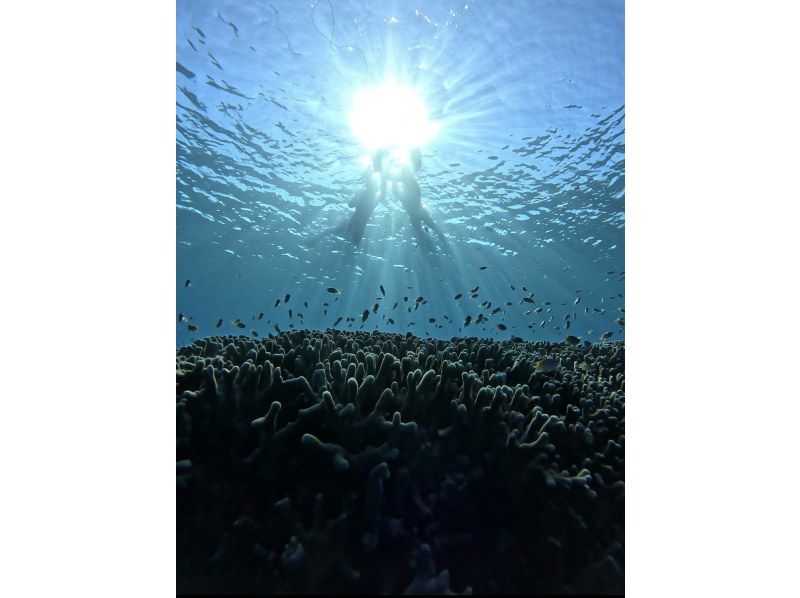 [Set tour] Kabira Bay SUP & Blue Cave Sea Turtle Snorkeling ☆ Sea turtle encounter rate is currently 100% 《Drone data present》 Spring sale now onの紹介画像