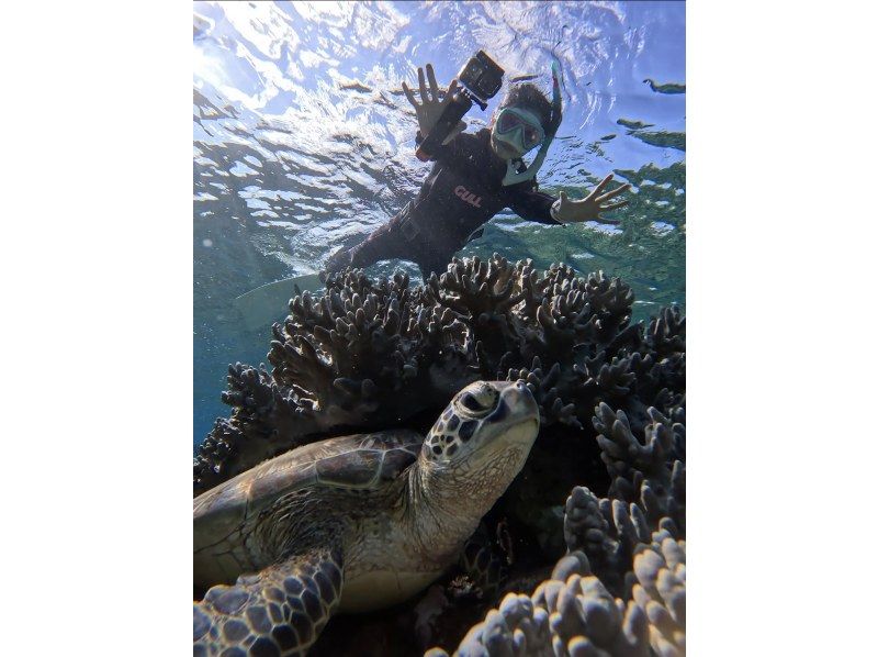 [Set tour] Kabira Bay SUP & Blue Cave Sea Turtle Snorkeling ☆ Sea turtle encounter rate is currently 100% 《Drone data present》 Spring sale now onの紹介画像