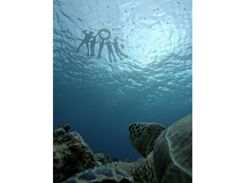 [Set tour] Very popular plan / Blue Cave Sea Turtle Snorkeling & Sunset SUP