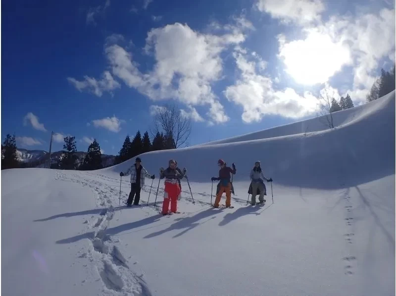 ✴️【นีงาตะ・โทคามาจิ・เดินป่าบนหิมะ】เดินป่าบนหิมะสุดสนุกในเขต "โทคามาจิ" ที่มีหิมะตกหนัก! รวมเวลาจิบชาและแช่น้ำพุร้อน (ครึ่งวัน)⛄️❄️の紹介画像