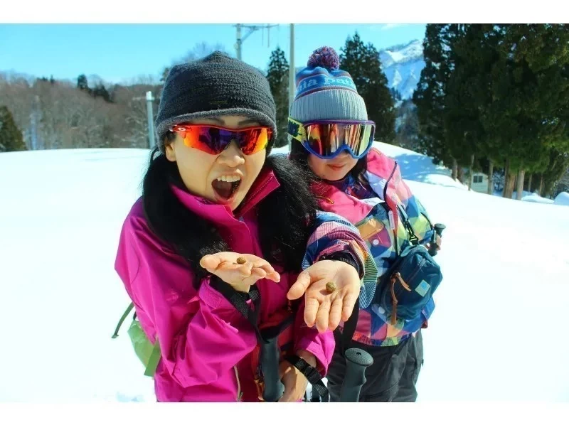 [นีกาตะ/โทคามาจิ/กิจกรรมเดินหิมะ(Snowshoe)] เดินป่าบนหิมะในบริเวณหิมะตกหนัก "โทคามาจิ"! รวมเวลาน้ำชาและบ่อน้ำพุร้อน (ครึ่งวัน)の紹介画像
