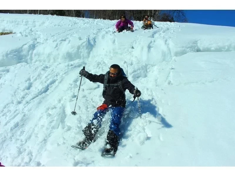 ✴️【นีงาตะ・โทคามาจิ・เดินป่าบนหิมะ】เดินป่าบนหิมะสุดสนุกในเขต "โทคามาจิ" ที่มีหิมะตกหนัก! รวมเวลาจิบชาและแช่น้ำพุร้อน (ครึ่งวัน)⛄️❄️の紹介画像