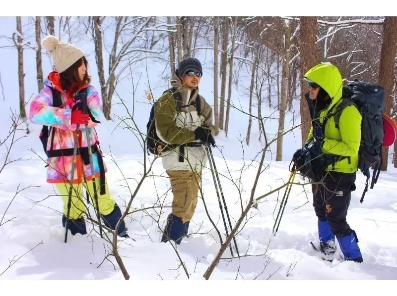✴️【นีงาตะ・โทคามาจิ・เดินป่าบนหิมะ】เดินป่าบนหิมะสุดสนุกในเขต "โทคามาจิ" ที่มีหิมะตกหนัก! รวมเวลาจิบชาและแช่น้ำพุร้อน (ครึ่งวัน)⛄️❄️の紹介画像