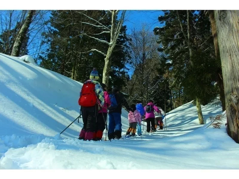 ✴️【นีงาตะ・โทคามาจิ・เดินป่าบนหิมะ】เดินป่าบนหิมะสุดสนุกในเขต "โทคามาจิ" ที่มีหิมะตกหนัก! รวมเวลาจิบชาและแช่น้ำพุร้อน (ครึ่งวัน)⛄️❄️の紹介画像