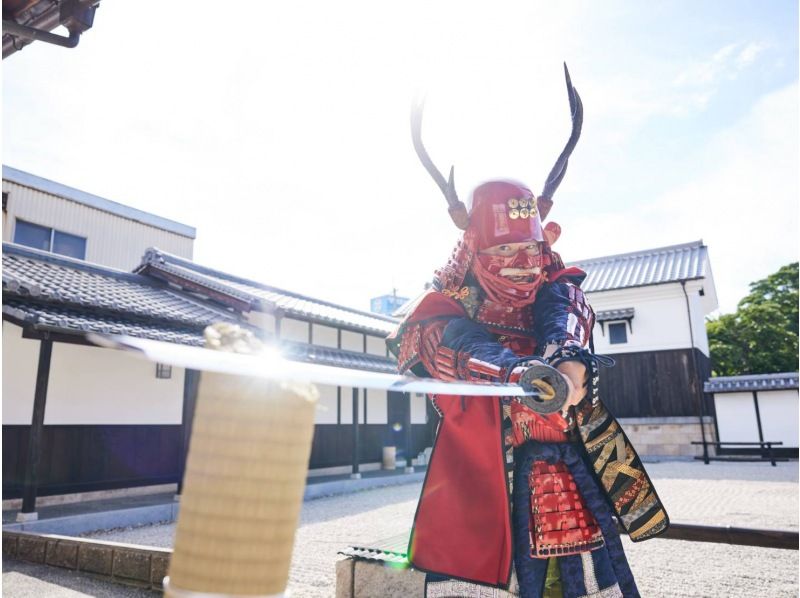 【大阪城】「RISEプラン」武士道は刀をその力と武勇の象徴とし、幼少の頃から刀の使い方を教えられる。の紹介画像