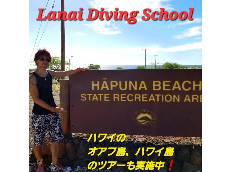 [Kanto/Tokyo] Consultations will be held every day for those interested in obtaining a diving license! Any doubts or questions are OK. (One woman is also welcome) の紹介画像