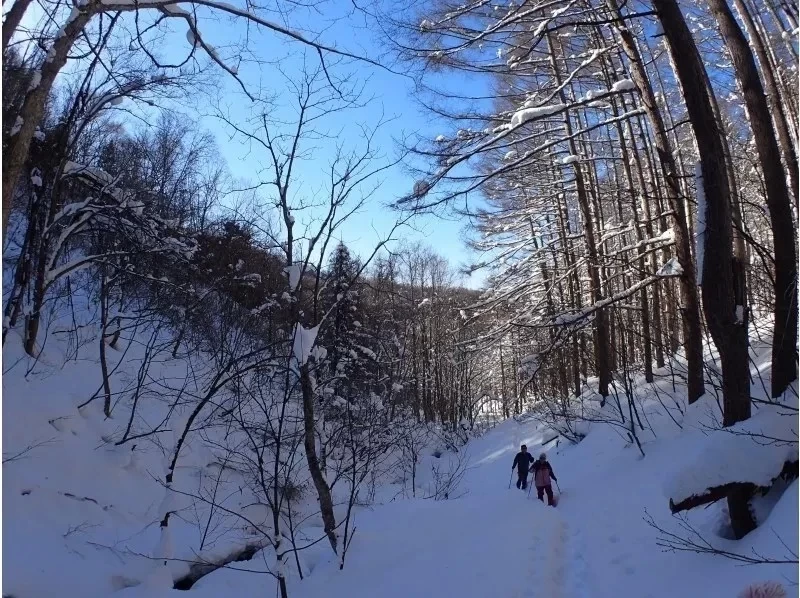 ✴️【Gunma・Minakami・Snowshoe】Platt Snow Hike! ⛄️❄️の紹介画像