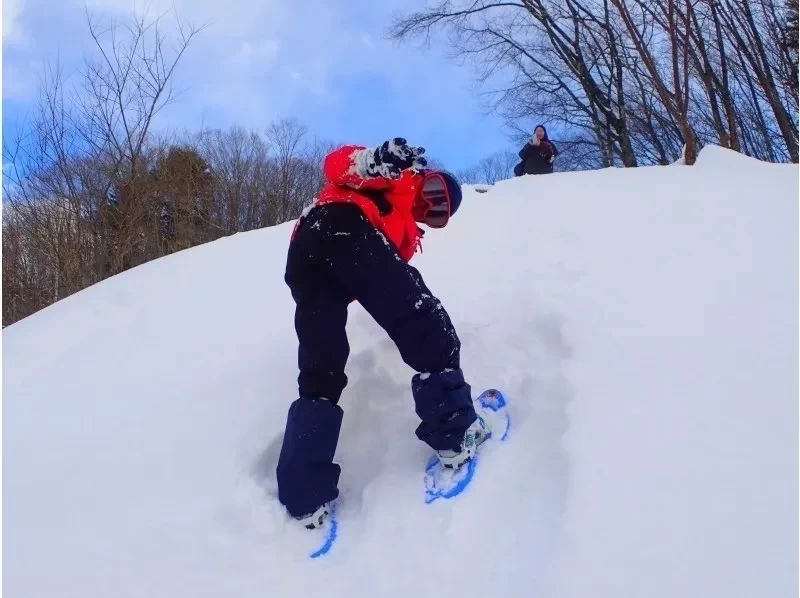 ✴️【Gunma・Minakami・Snowshoe】Platt Snow Hike! ⛄️❄️の紹介画像