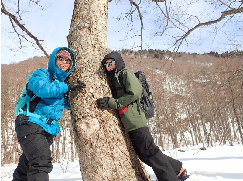 ✴️【群馬・みなかみ・スノーシュー・1日】奥利根の絶景を見つけに！（ランチ付）⛄️❄️の紹介画像