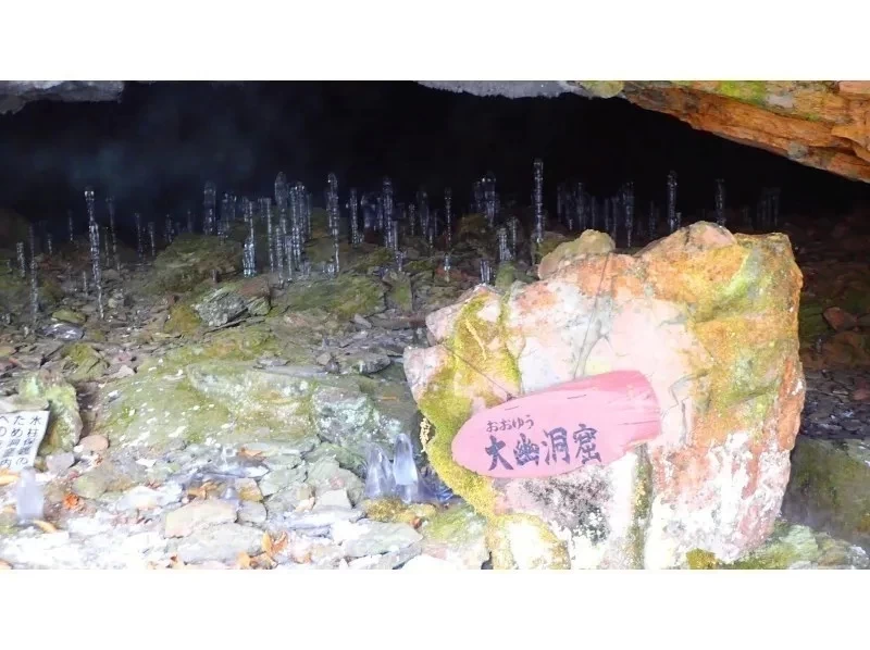 ✴️【群馬・みなかみ・スノーシュー・1日】奥利根の絶景を見つけに！（ランチ付）⛄️❄️の紹介画像