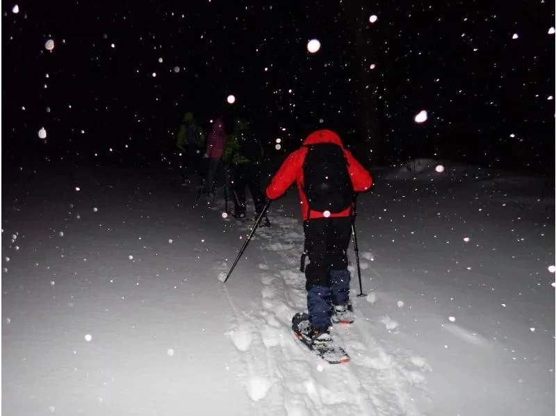 [นีกาตะ/โทคามาจิ/กิจกรรมเดินหิมะ(Snowshoe Night)] ไม่ต้องกังวลหากคุณไม่มั่นใจในความแข็งแกร่งทางกายภาพของคุณ! พร้อมไกด์! มาสวมรองเท้าเดินหิมะและเดินเล่นในดินแดนหิมะตอนกลางคืนกันเถอะ!の紹介画像