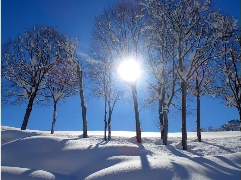 [นีกาตะ/โทคามาจิ] พื้นผิวหิมะลื่น! ทัวร์แอร์บอร์ด (ครึ่งวัน รวมบ่อน้ำพุร้อน)の紹介画像
