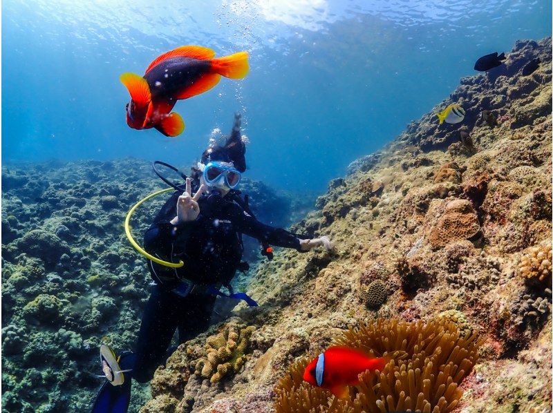 １名参加OK【恩納村】サンゴの村の海★熱帯魚クマノミと一緒に★ボート体験ダイビング★GoPro撮影データ全てプレゼント！の紹介画像