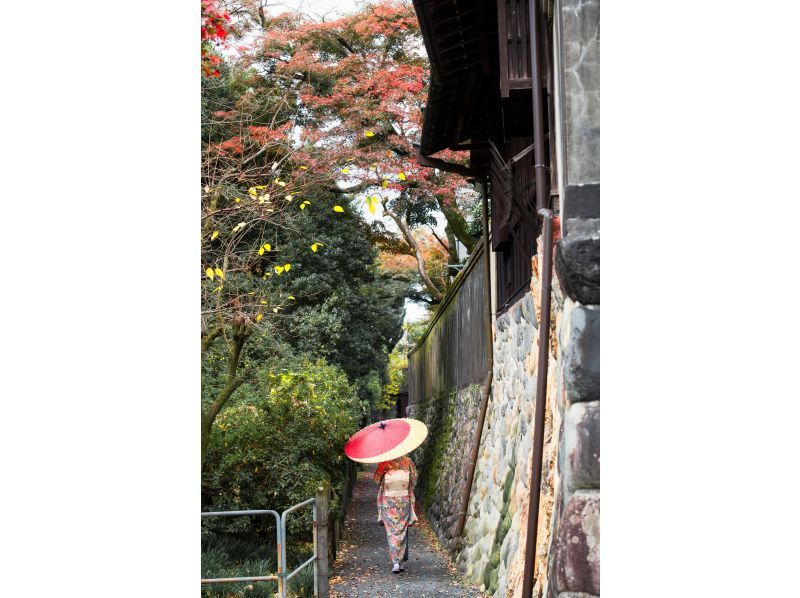 [Mino City/Gifu City/Seki City/Gujo City] Gifu's "Manabi Tabi" Photographed by a professional photographer Jun Kobayashi takes a "Gifu moment with you"の紹介画像