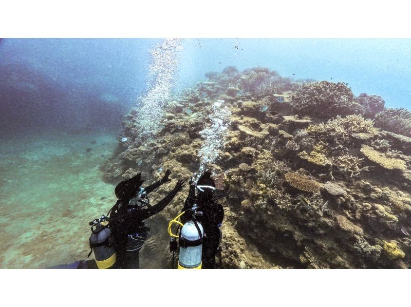 [Okinawa Headquarters, Minna Island or Sesoko Island] Beginner-friendly boat experience diving 2 divesの紹介画像