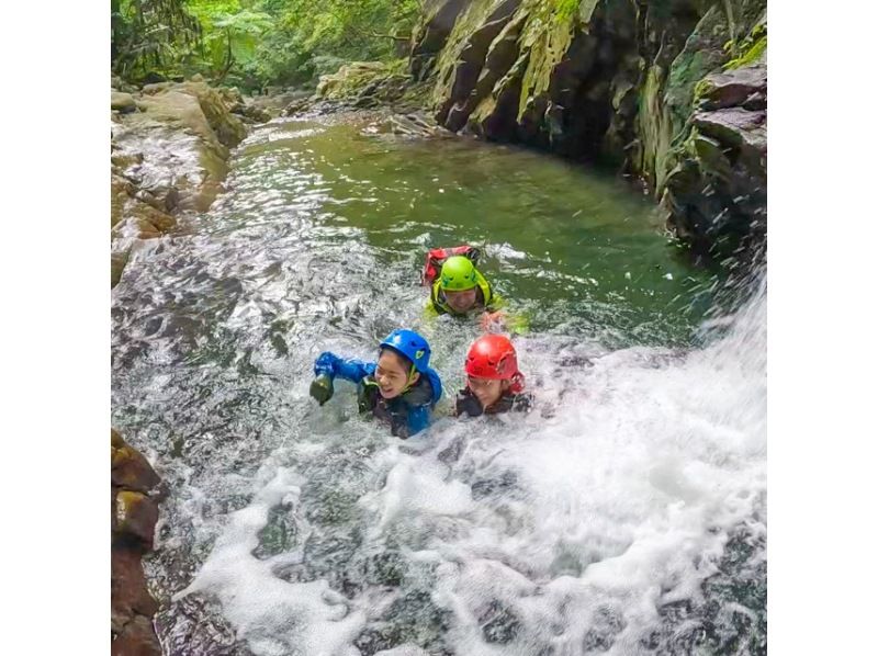 [Okinawa/Yanbaru] Parents and children can play! River trekking & canyoning | Half-day tour | Photos and videos includedの紹介画像