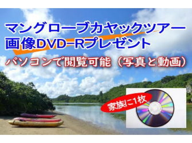【沖縄・今帰仁】マングローブカヤックツアー（高水位）1時間30分　2才～72才まで 満ち潮時にマングローブを観察しながらのカヤック体験！の紹介画像
