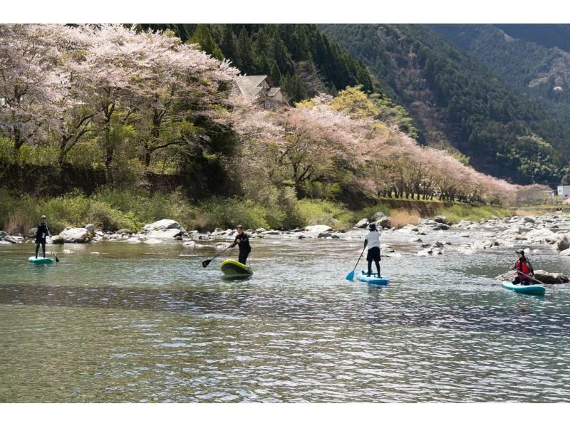 【高知・仁淀川】春のスペシャルツアー  3月4月限定 桜咲く絶景仁淀ブルーでお花見SUP 女子旅にもオススメ！！の紹介画像