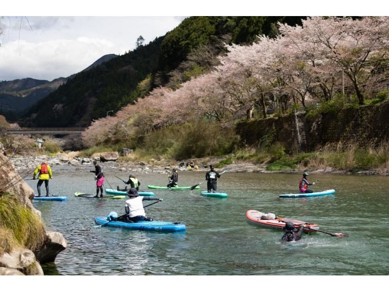 【高知・仁淀川】春のスペシャルツアー  3月4月限定 桜咲く絶景仁淀ブルーでお花見SUP 女子旅にもオススメ！！の紹介画像