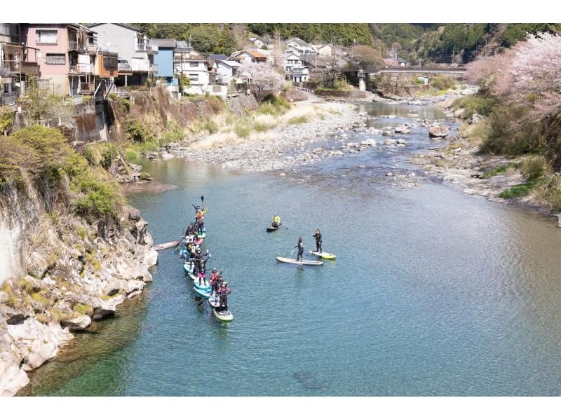 【高知・仁淀川】春のスペシャルツアー  3月4月限定 桜咲く絶景仁淀ブルーでお花見SUP 女子旅にもオススメ！！の紹介画像