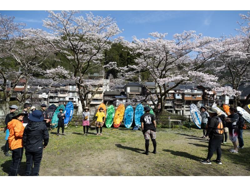 【高知・仁淀川】春のスペシャルツアー  3月限定 桜咲く絶景仁淀ブルーでお花見SUP 女子旅にもオススメ！！の紹介画像