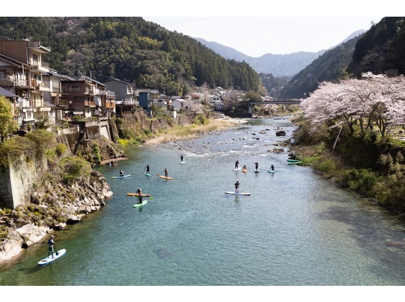 【高知・仁淀川】春のスペシャルツアー  3月4月限定 桜咲く絶景仁淀ブルーでお花見SUP 女子旅にもオススメ！！の紹介画像