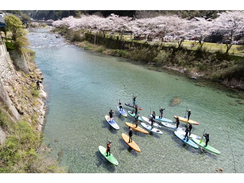 【高知・仁淀川】春のスペシャルツアー  3月限定 桜咲く絶景仁淀ブルーでお花見SUP 女子旅にもオススメ！！の紹介画像