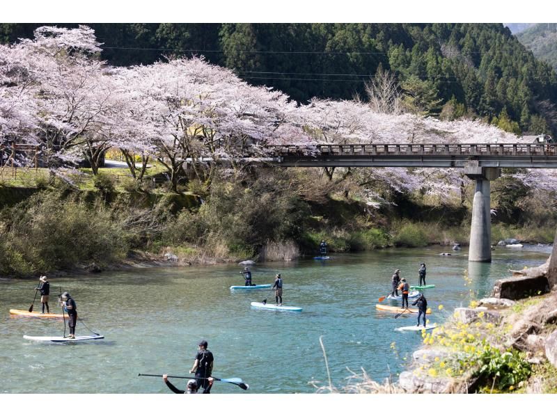 【高知・仁淀川】春のスペシャルツアー  3月限定 桜咲く絶景仁淀ブルーでお花見SUP 女子旅にもオススメ！！の紹介画像