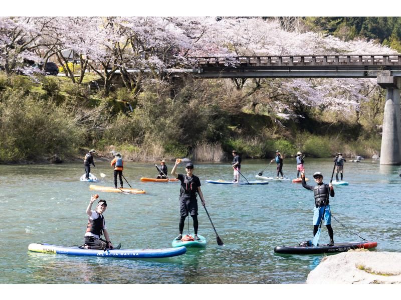 【高知・仁淀川】春のスペシャルツアー  3月4月限定 桜咲く絶景仁淀ブルーでお花見SUP 女子旅にもオススメ！！の紹介画像