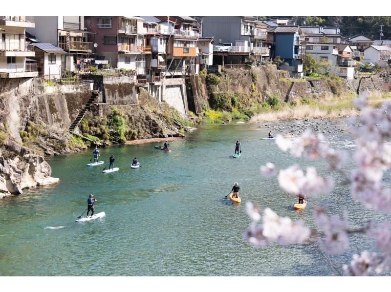 【高知・仁淀川】春のスペシャルツアー  3月限定 桜咲く絶景仁淀ブルーでお花見SUP 女子旅にもオススメ！！の紹介画像