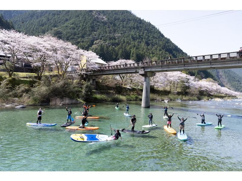 【高知・仁淀川】春のスペシャルツアー  3月4月限定 桜咲く絶景仁淀ブルーでお花見SUP 女子旅にもオススメ！！の紹介画像