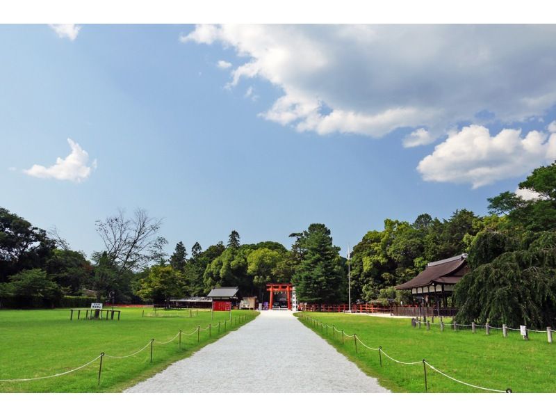 【期間限定！】天然記念物カキツバタ群生地と京都最古の神社でエネチャージ！の紹介画像