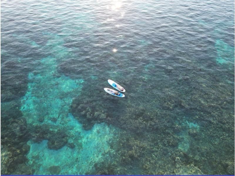 Miyakojima "Private VIP Plan" [Sea Turtle Snorkeling & SUP Tour] Sea turtle encounter rate continues to be 100%! It's sure to look great on social media! All photo data is freeの紹介画像