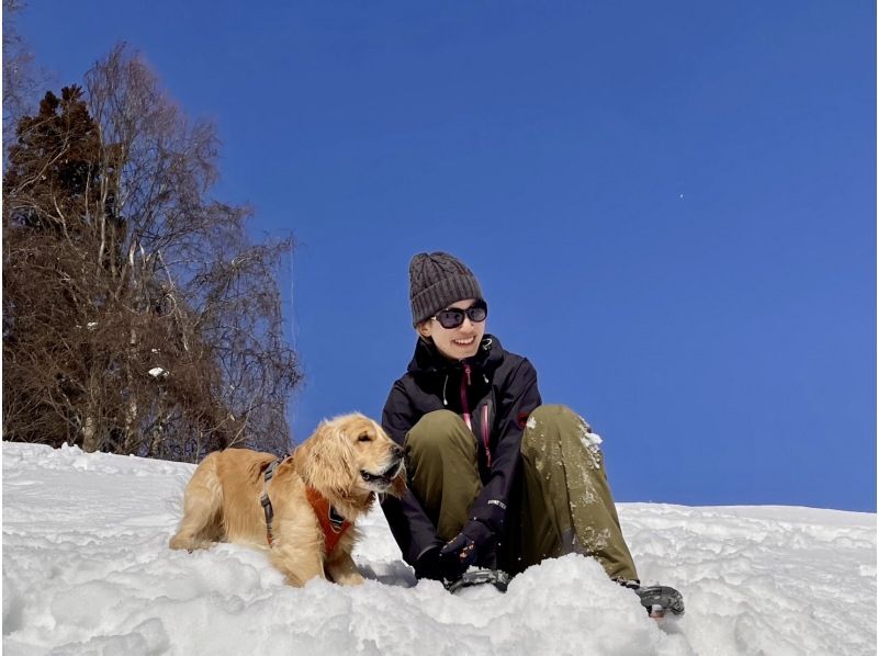 【新潟・越後湯沢・スノーシュー】越後をぷらっと雪上ハイキング！の紹介画像