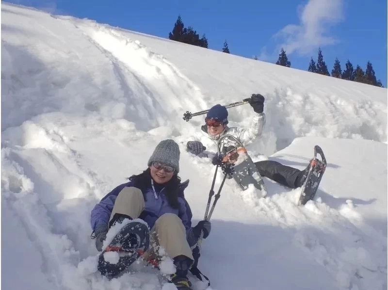 【新潟・越後湯沢・スノーシュー】越後をぷらっと雪上ハイキング！の紹介画像