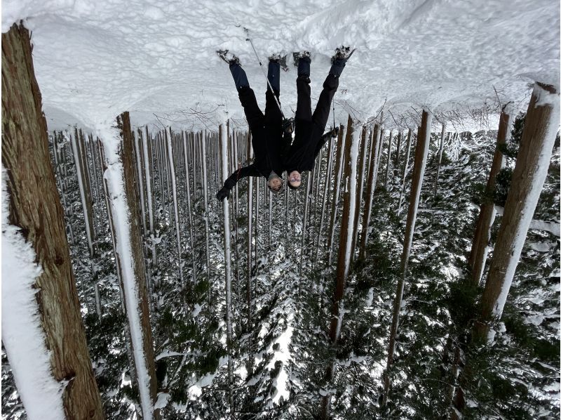 [Niigata/Echigo Yuzawa/Snowshoe] Hiking on the snow in Echigo!の紹介画像