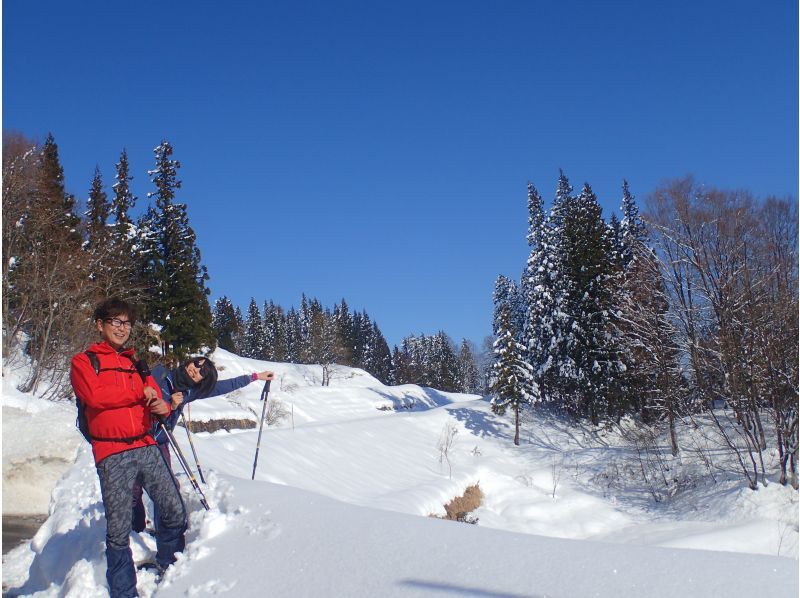 [Niigata/Echigo Yuzawa/Snowshoe] Hiking on the snow in Echigo!の紹介画像
