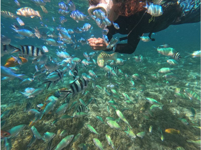 [Uruma City] Snorkel at the original spot "Flower Garden" accessible by boat!の紹介画像