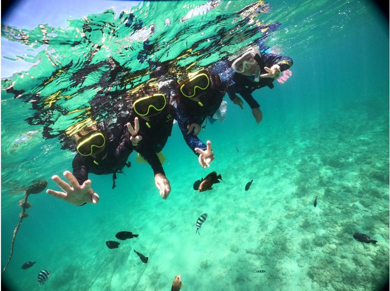 [Uruma City] Snorkel at the original spot "Flower Garden" accessible by boat!の紹介画像