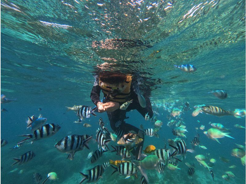 [Uruma City] Snorkel at the original spot "Flower Garden" accessible by boat!の紹介画像