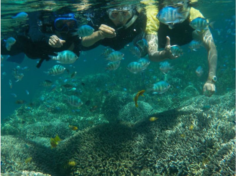 [Uruma City] Snorkel at the original spot "Flower Garden" accessible by boat!の紹介画像